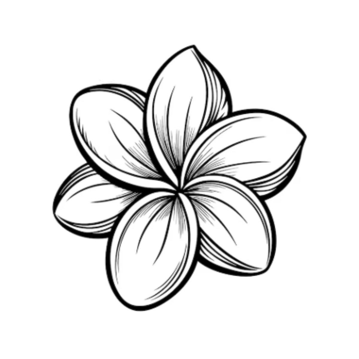 Collezione Frangipane