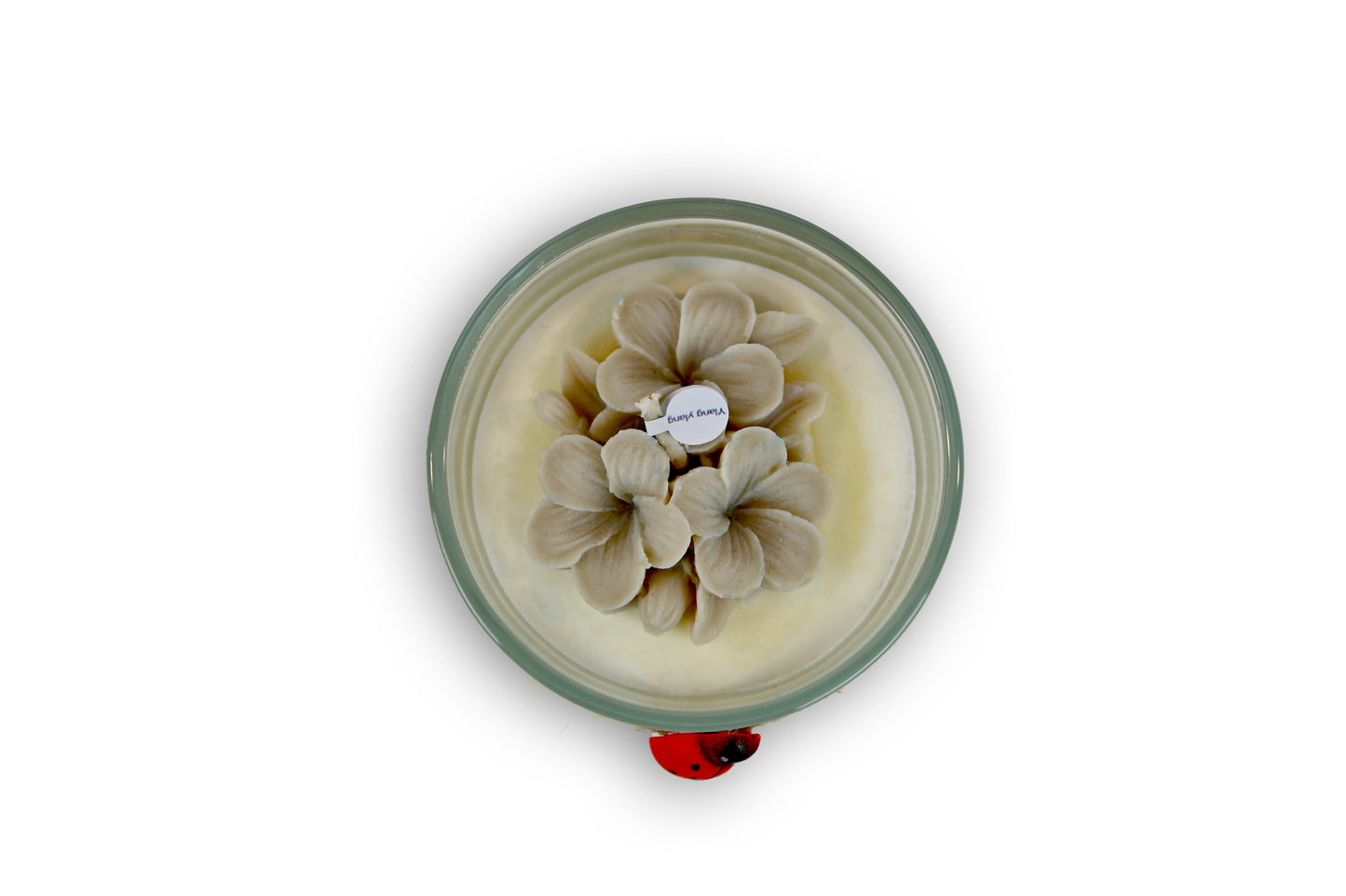 Candela Small - FRANGIPANE