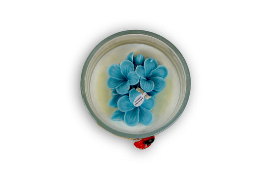 Candela Small - FRANGIPANE