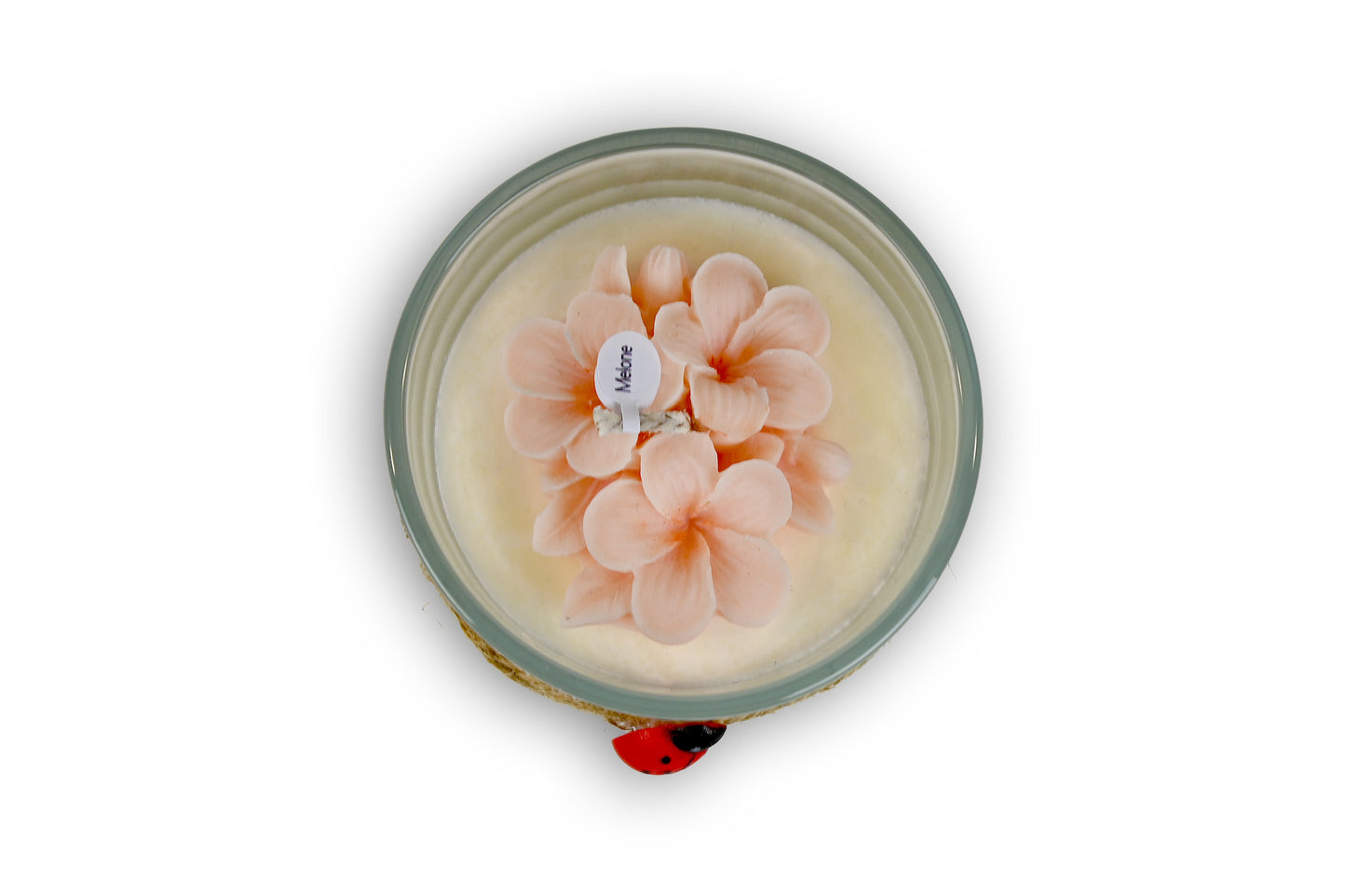 Candela Small - FRANGIPANE