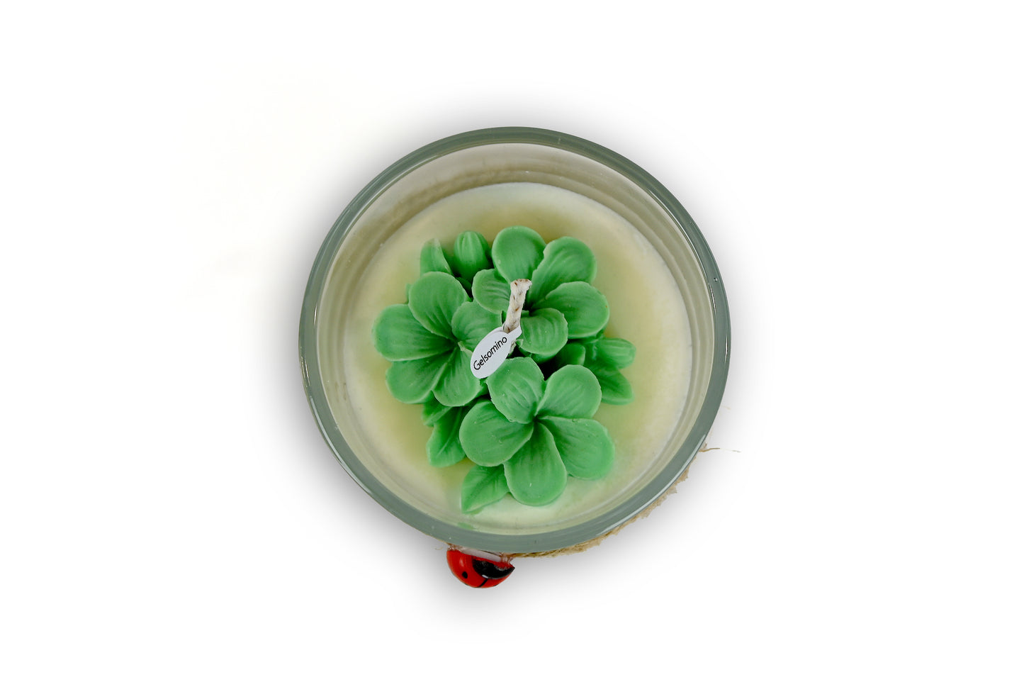 Candela Small - FRANGIPANE