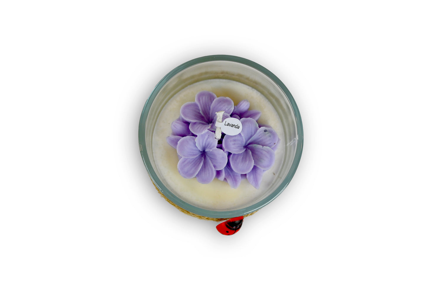 Candela Small - FRANGIPANE