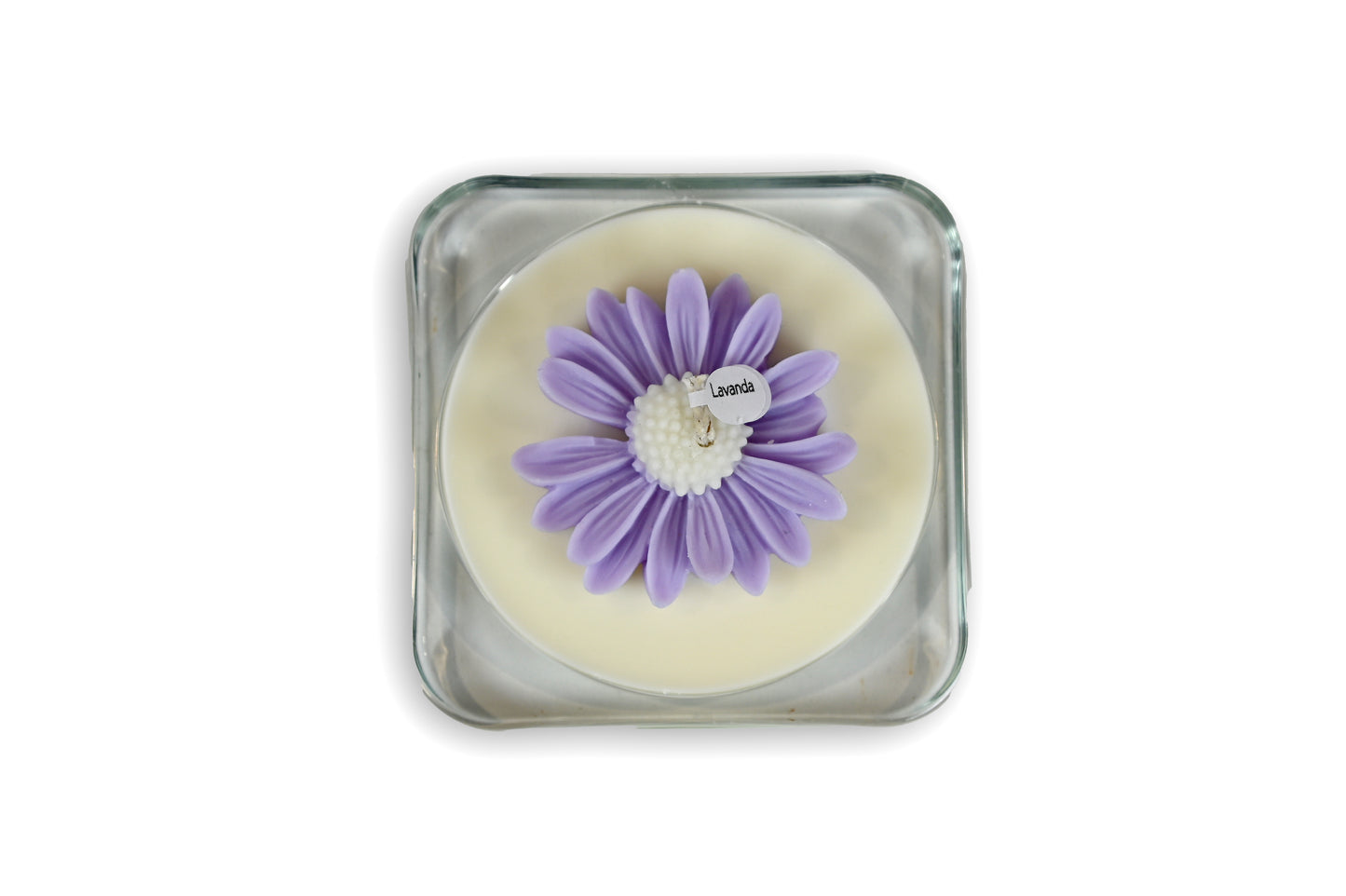 The Light - MARGHERITA