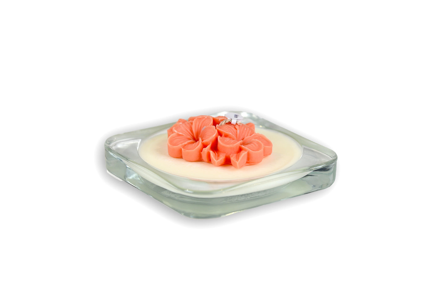 The Light - FRANGIPANE