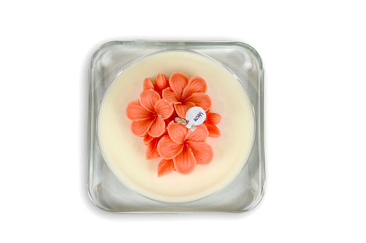 The Light - FRANGIPANE