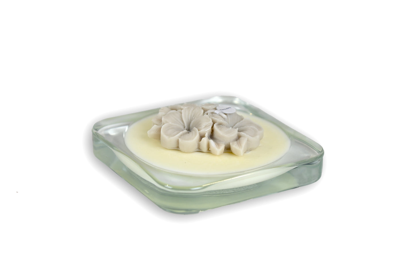 The Light - FRANGIPANE