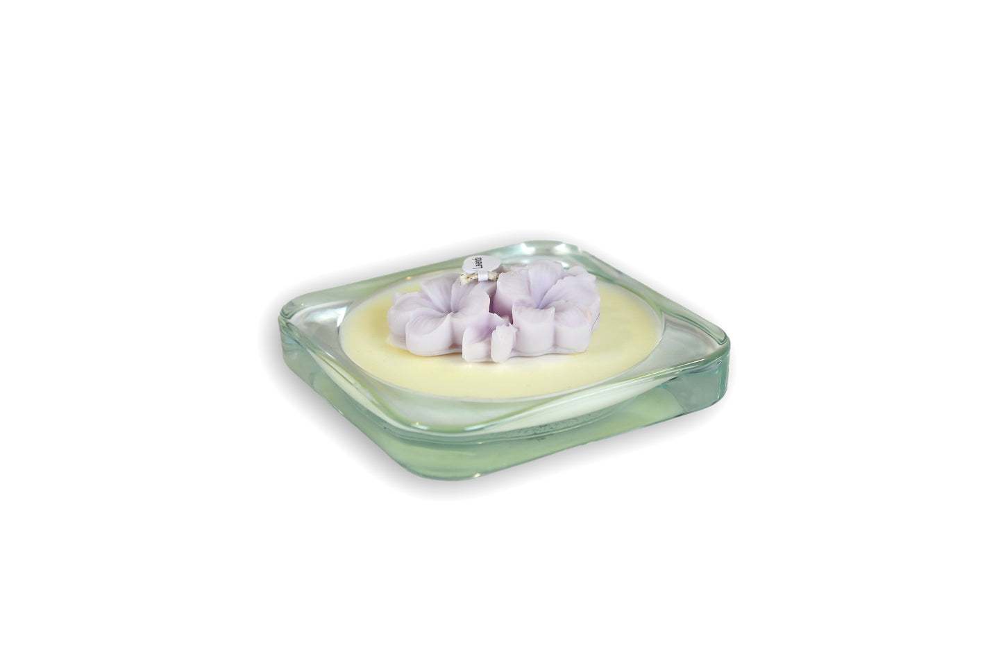 The Light - FRANGIPANE