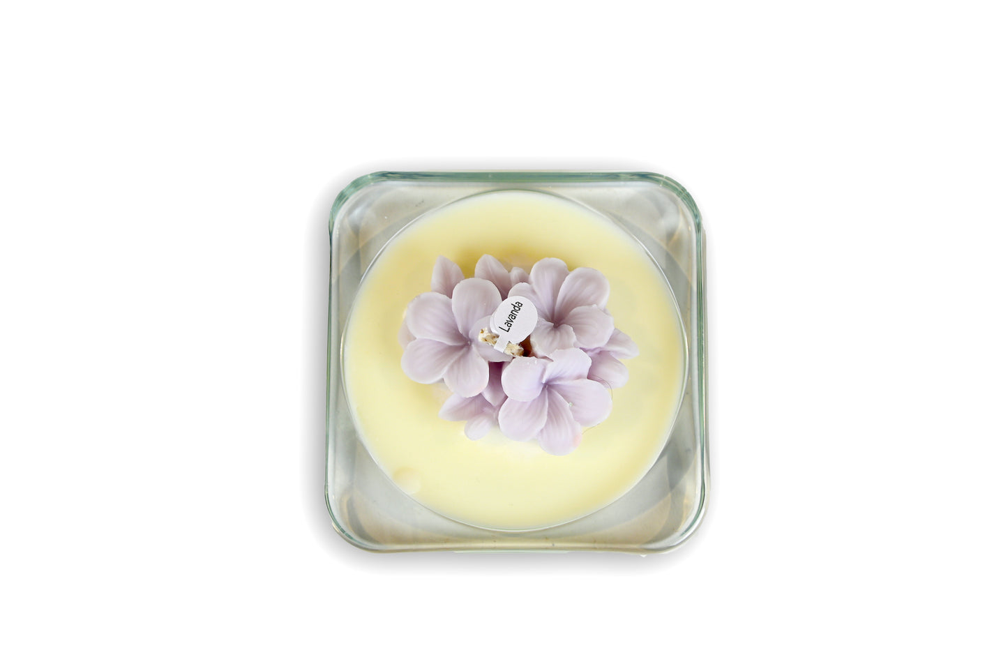 The Light - FRANGIPANE