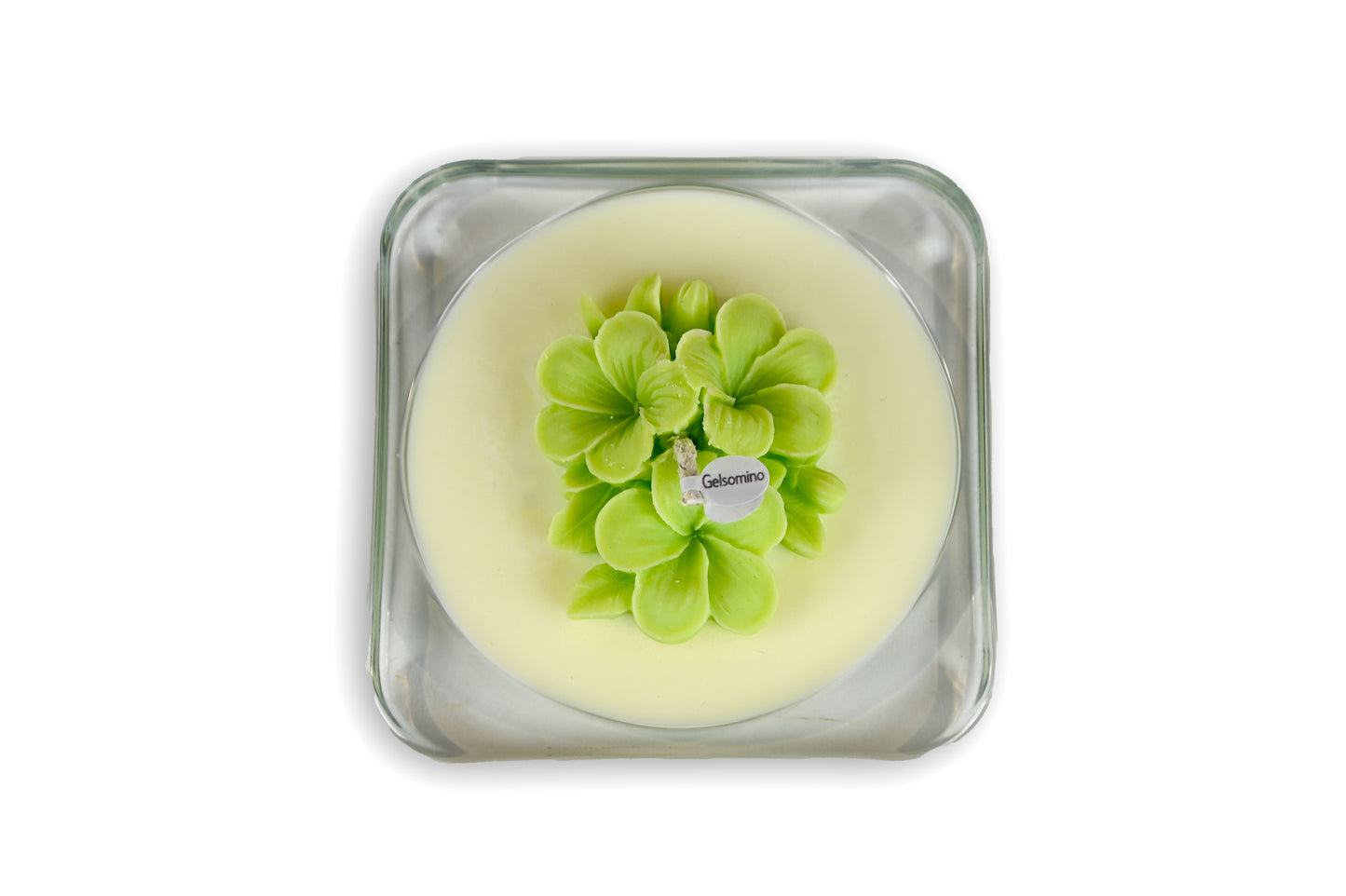 The Light - FRANGIPANE