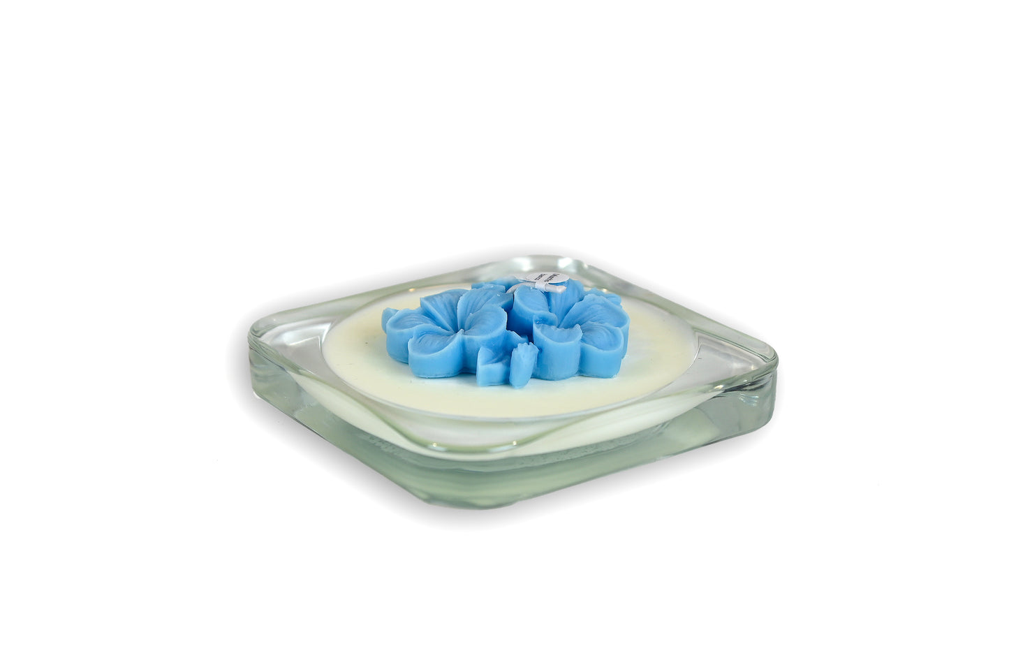 The Light - FRANGIPANE