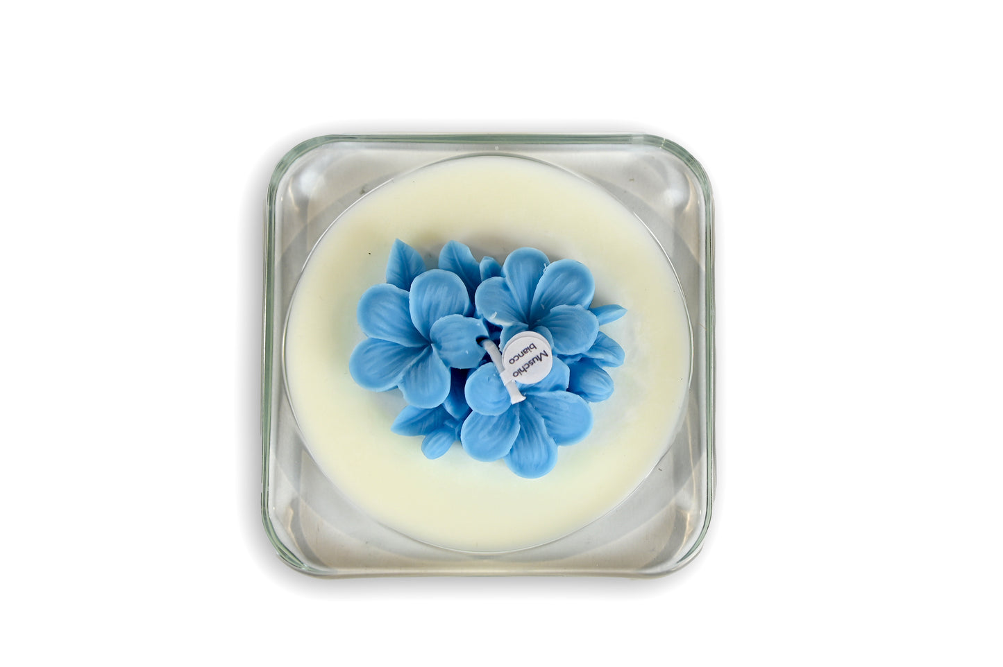 The Light - FRANGIPANE