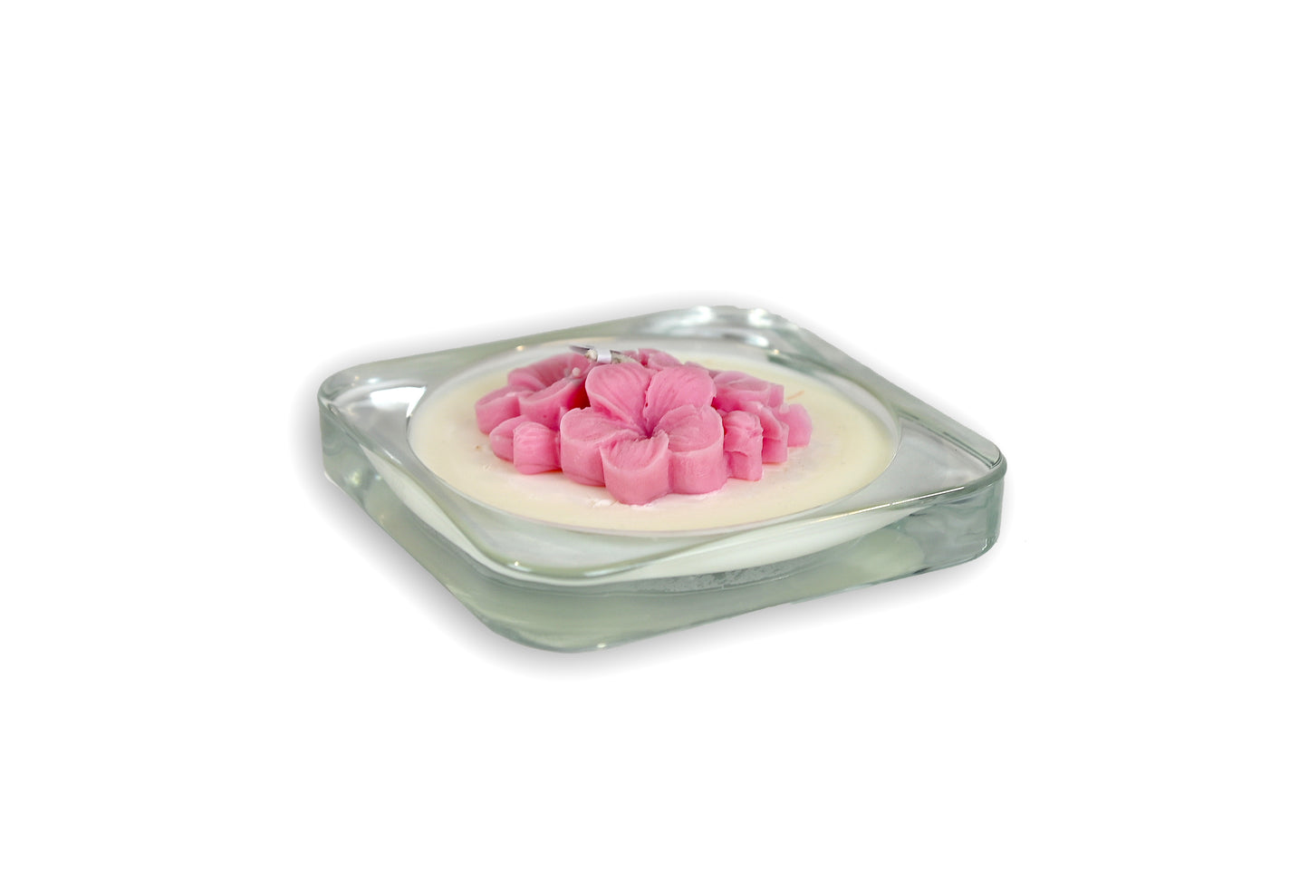 The Light - FRANGIPANE