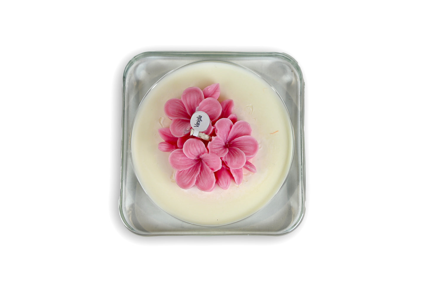 The Light - FRANGIPANE