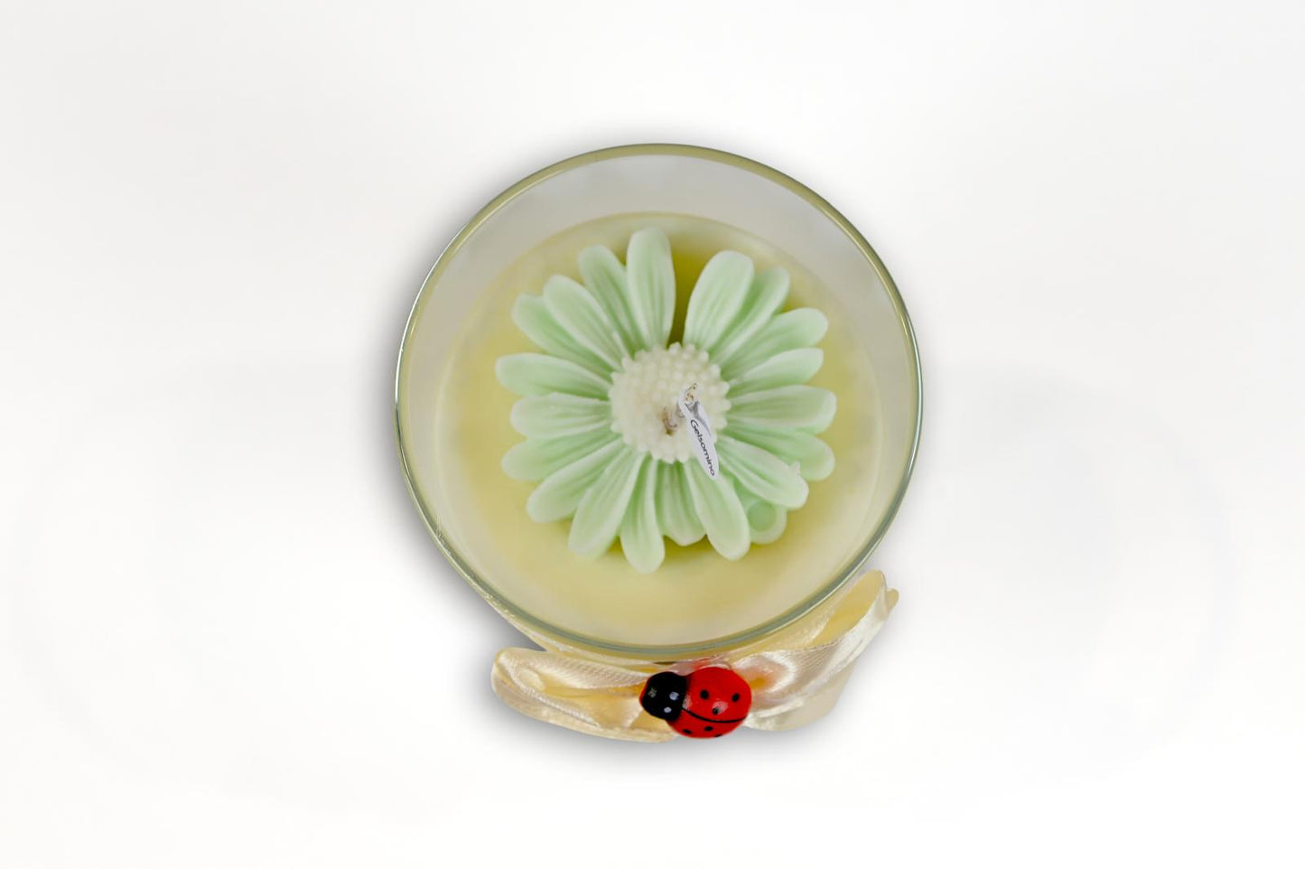 Candela Media - MARGHERITA