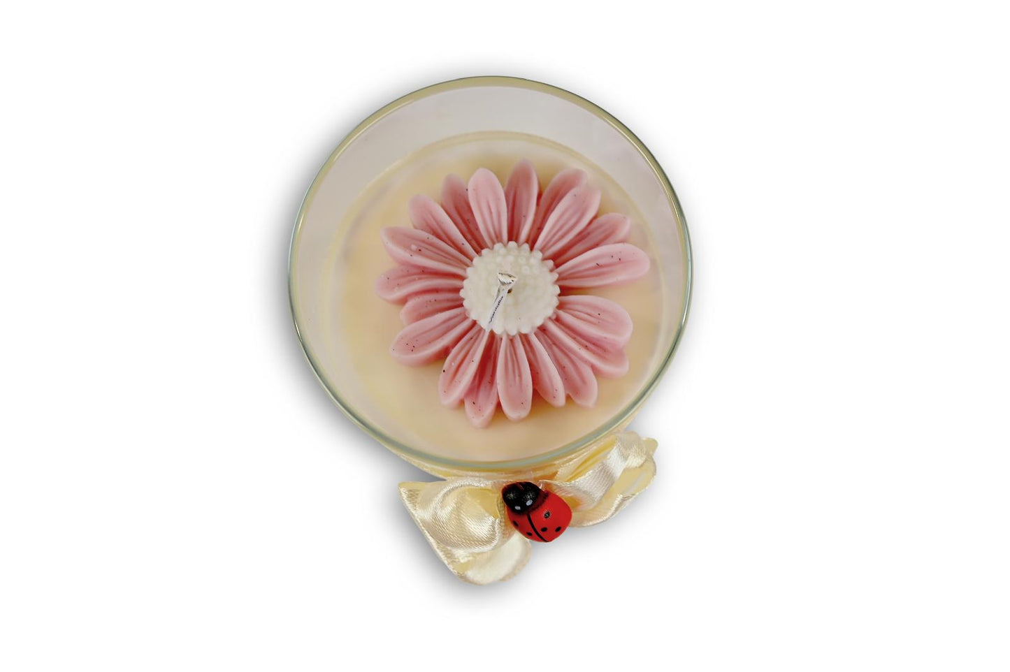 Candela Media - MARGHERITA