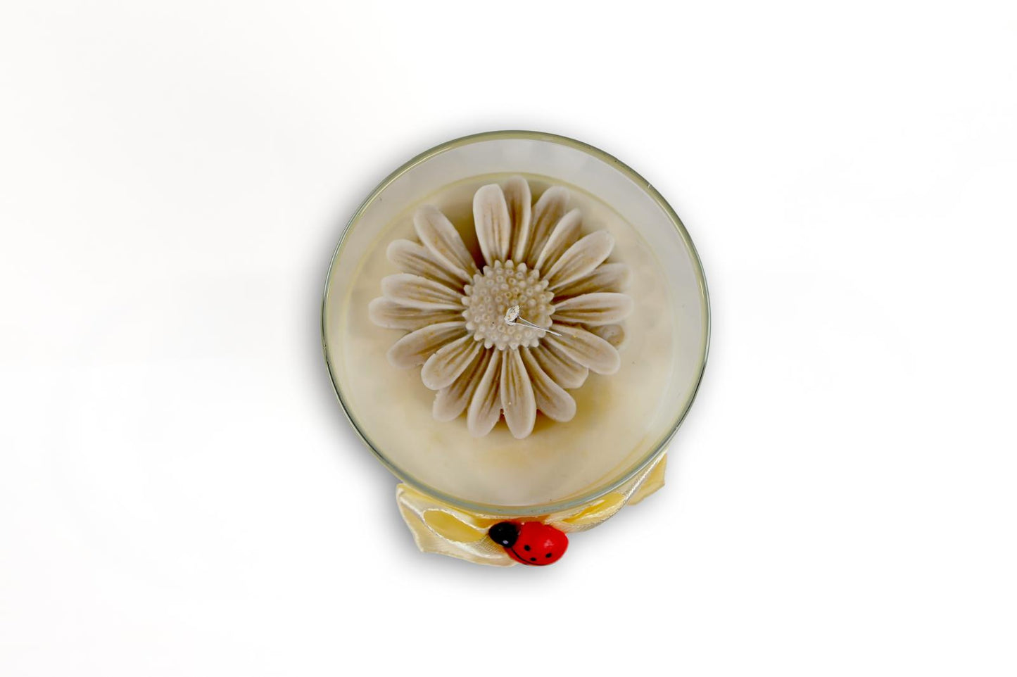 Candela Media - MARGHERITA