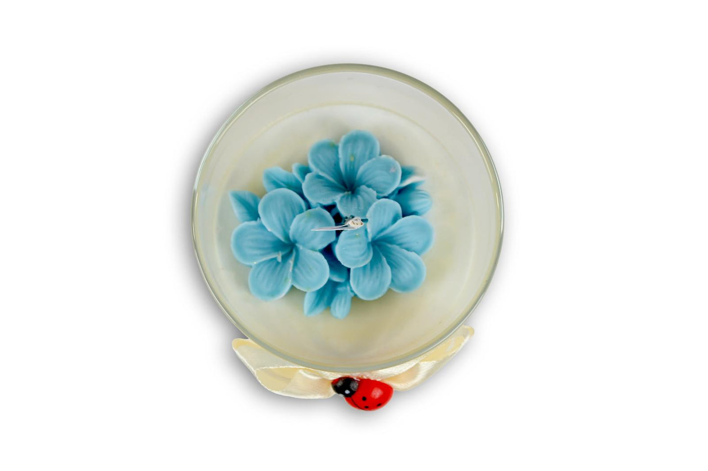 Candela Media - FRANGIPANE