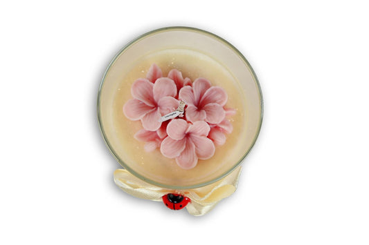 Candela Media - FRANGIPANE