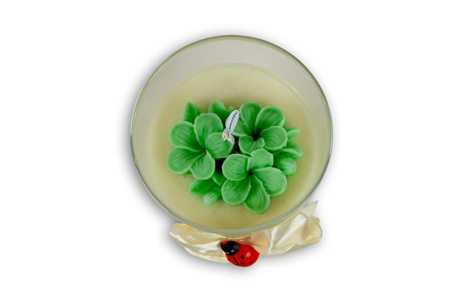 Candela Media - FRANGIPANE