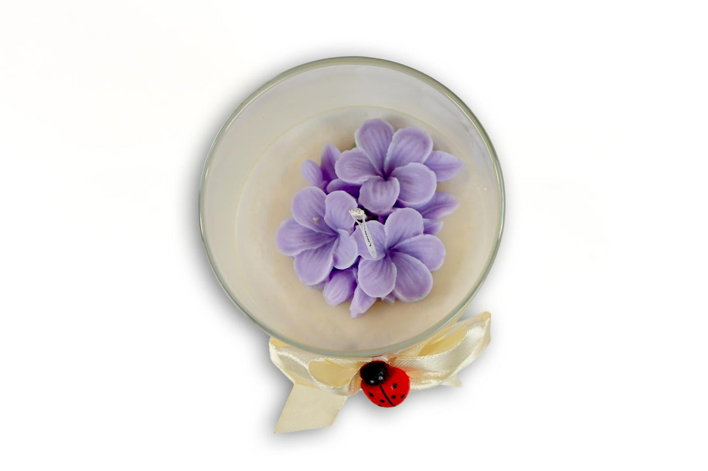 Candela Media - FRANGIPANE