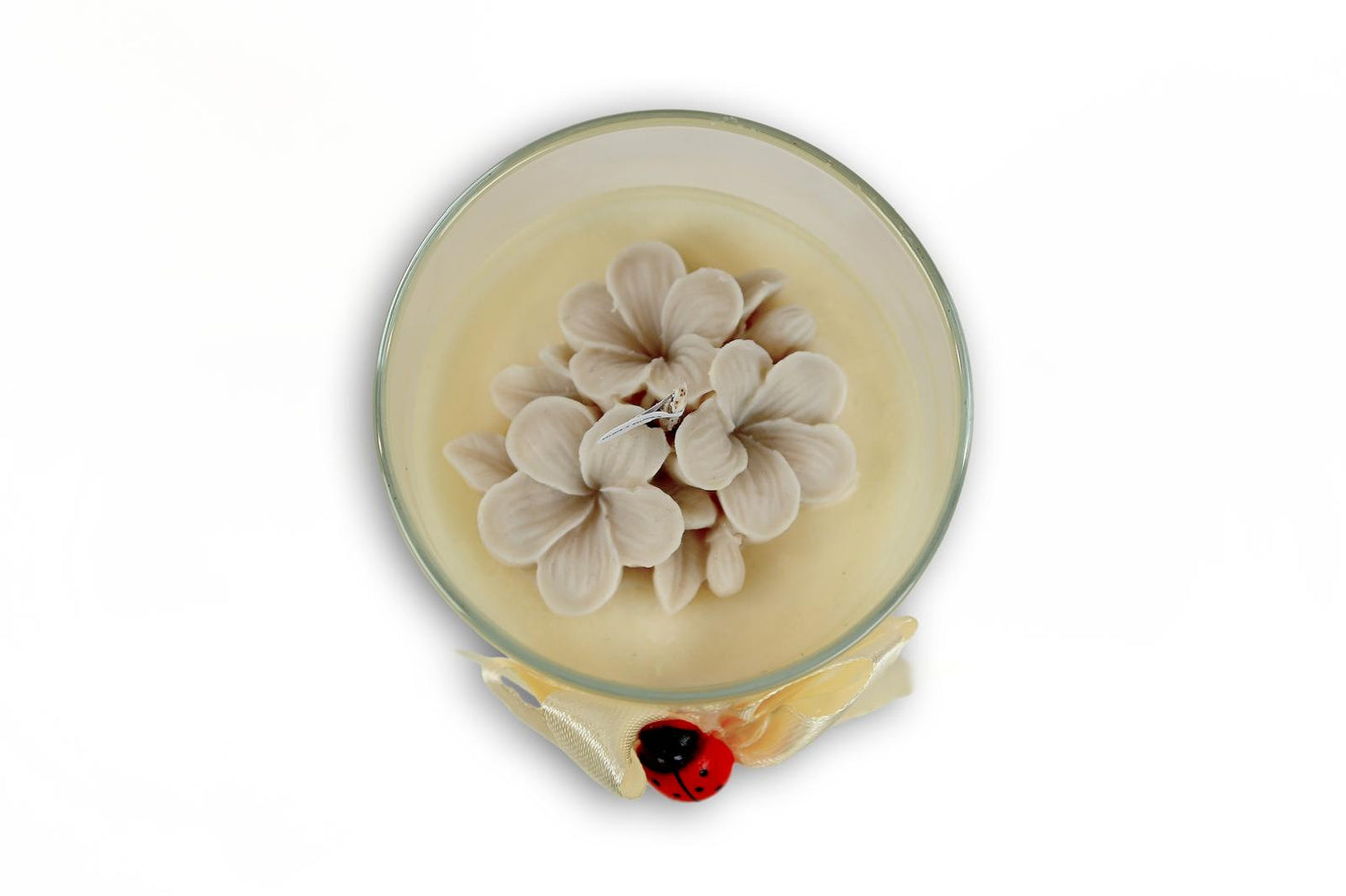 Candela Media - FRANGIPANE